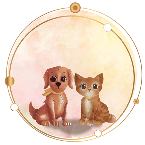 600X600 bg